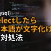 mysql selectしたら日本語が文字化けの対処法
